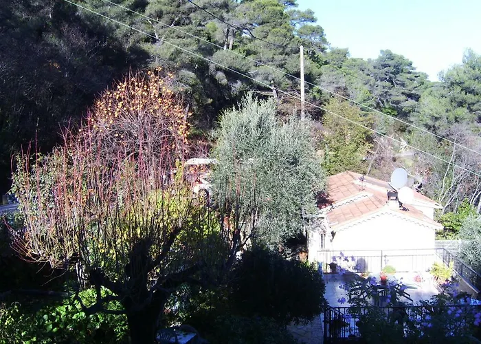 Les lilas blancs