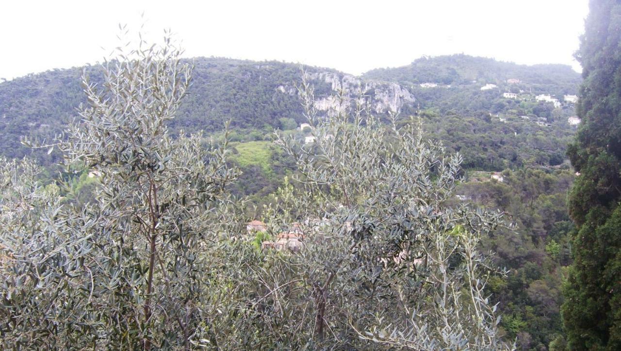 Les Lilas Blancs